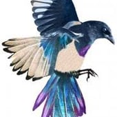 Magpie Designs by Sarah