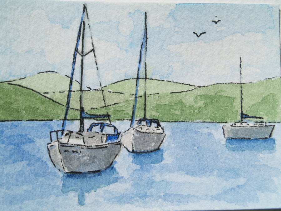 ACEO Boats on Windermere