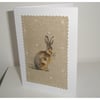 Pack of Four Hare Notelets Blank Cards Rabbit