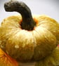 Handmade velvet pumpkins - Image 4