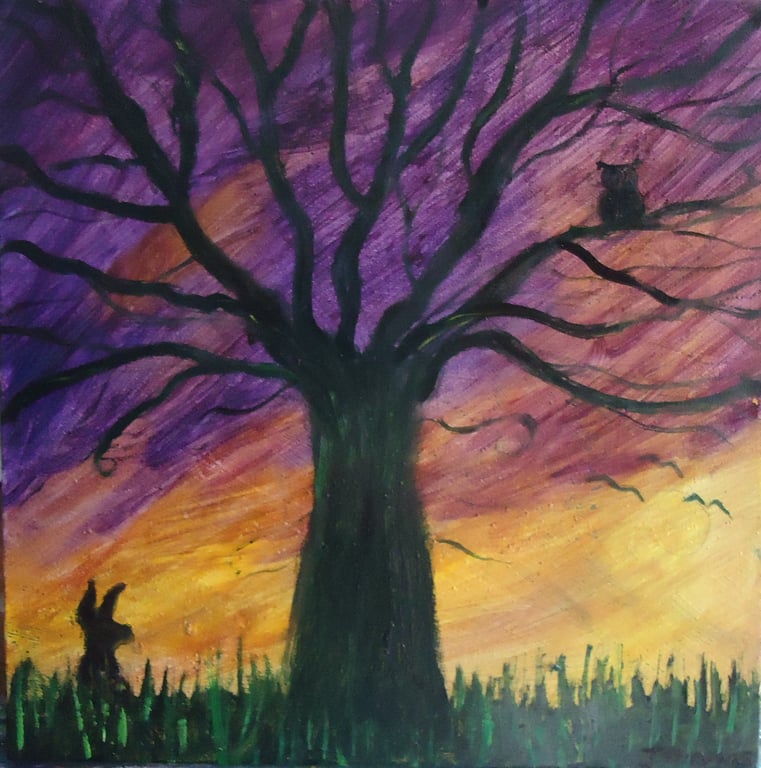 Avalon Dreams Gallery