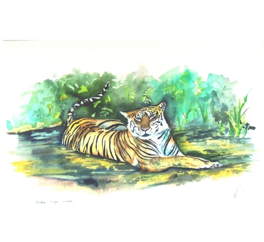  Tiger Watercolour Original Painting 
