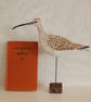 Curlew  - Image 3