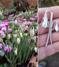 Snowdrop Necklace Small - Image 8