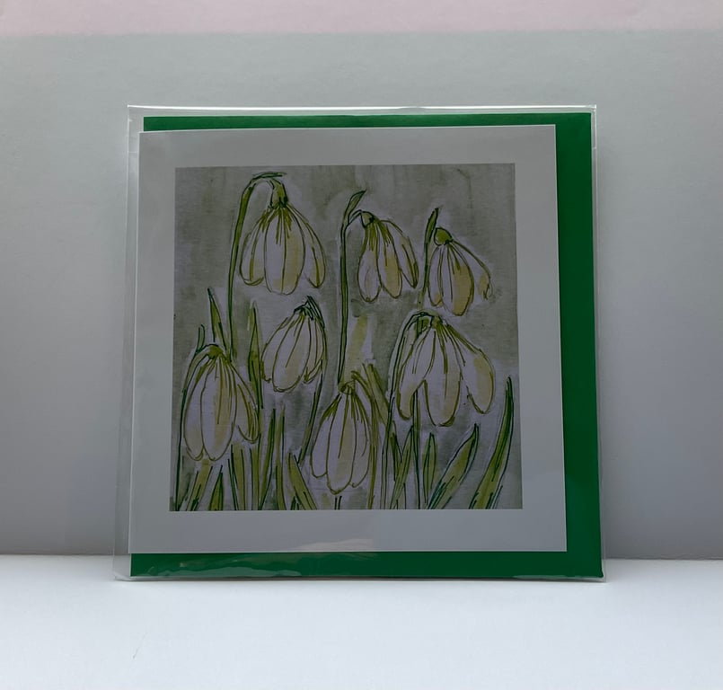 Snowdrops