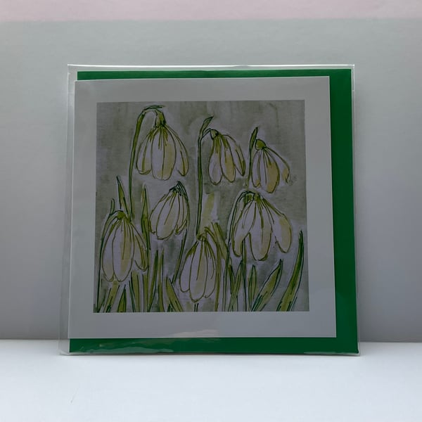 Snowdrops