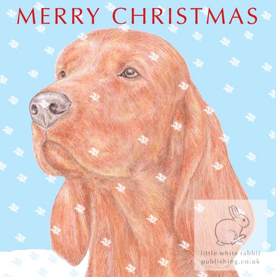 Woody the Irish Setter - Christmas Card