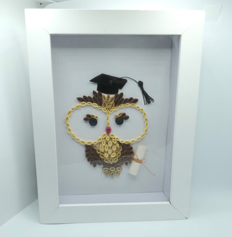 Quilled Graduate Owl Box Frame 
