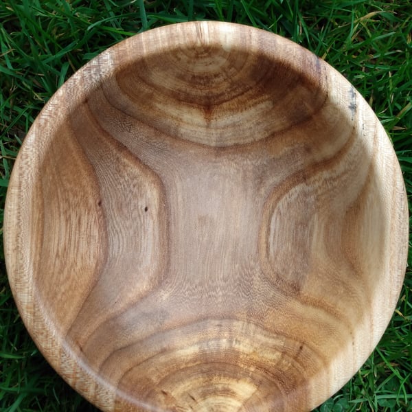 Bowl - Elm