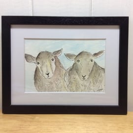 Good morning  - framed original watercolour, pen and ink of sheep