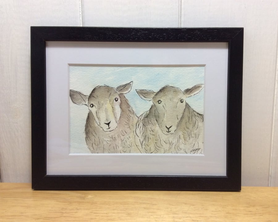 Good morning  - framed original watercolour, pen and ink of sheep