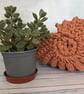 Ammonite basket, crochet shell, home decor, plant holder, nautilus, fossil - Image 7