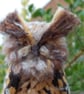  Eagle owl Needle felt owl, collectable animal sculpture ornament or decoration - Image 9
