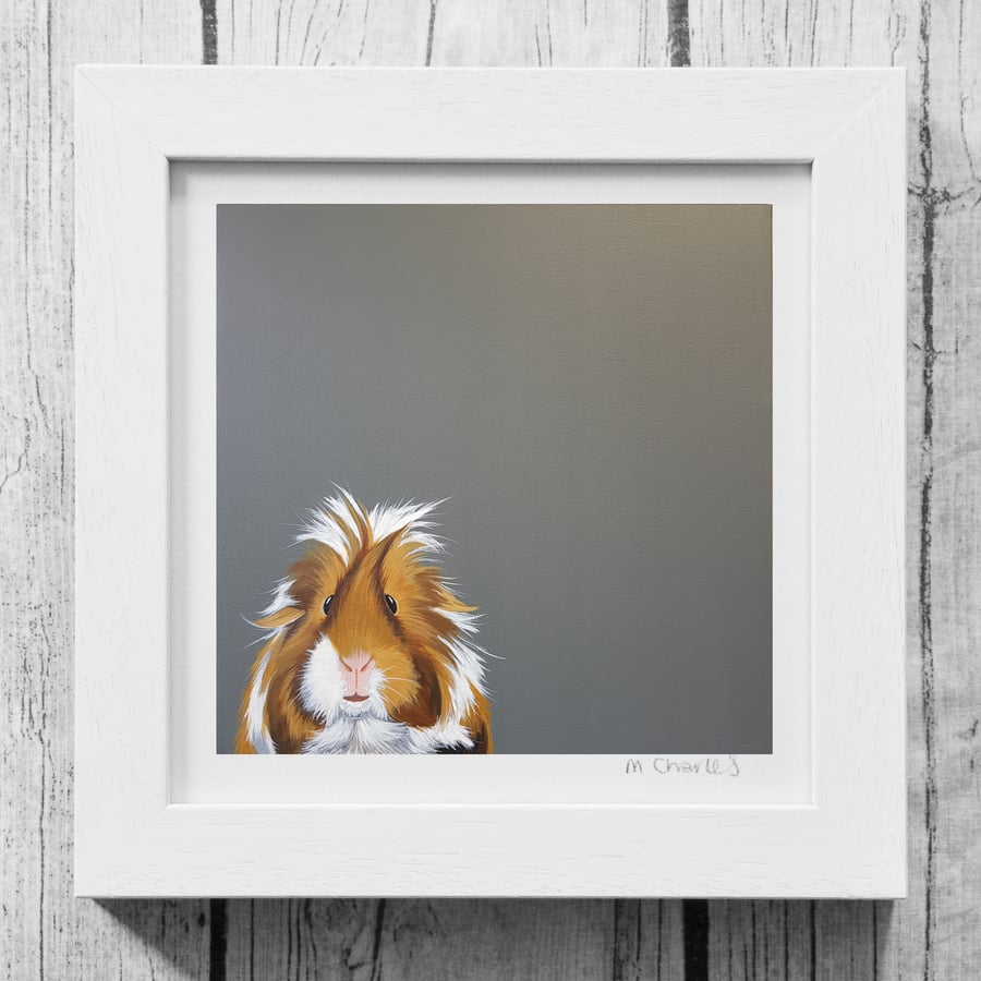 Guinea Pig, white and red, Framed Print, gift for guinea pig lover