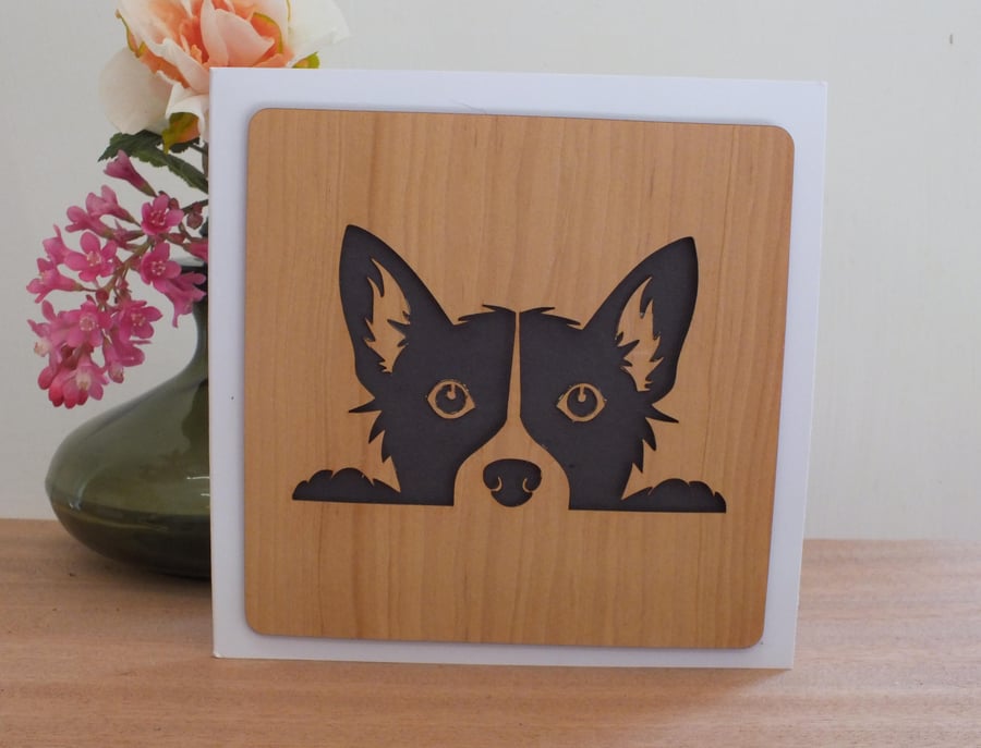 The "Appealing Peaking Puppy" Greetings Card 