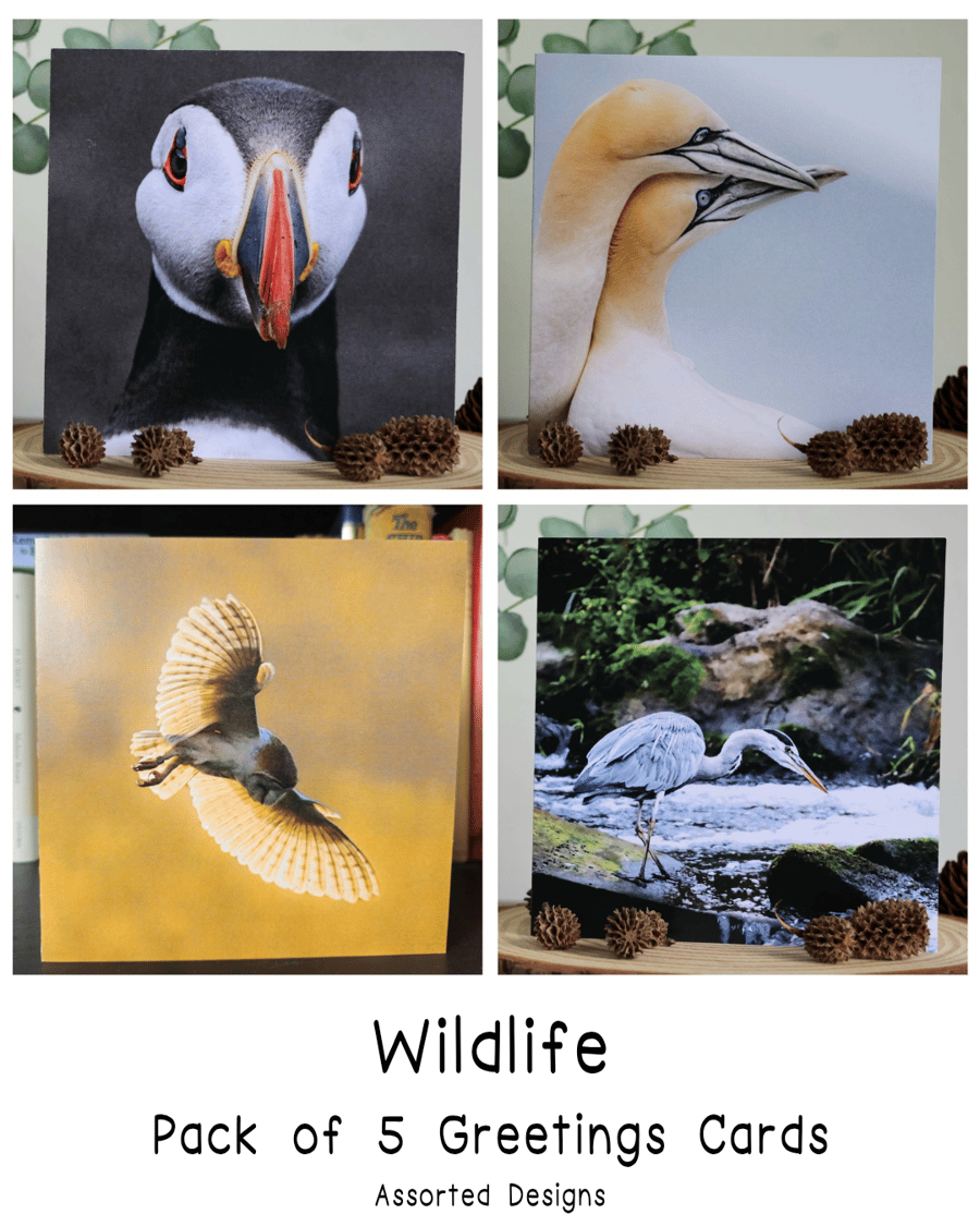 UK Wildlife - Pack of 5 Greetings Cards - Assorted Designs 