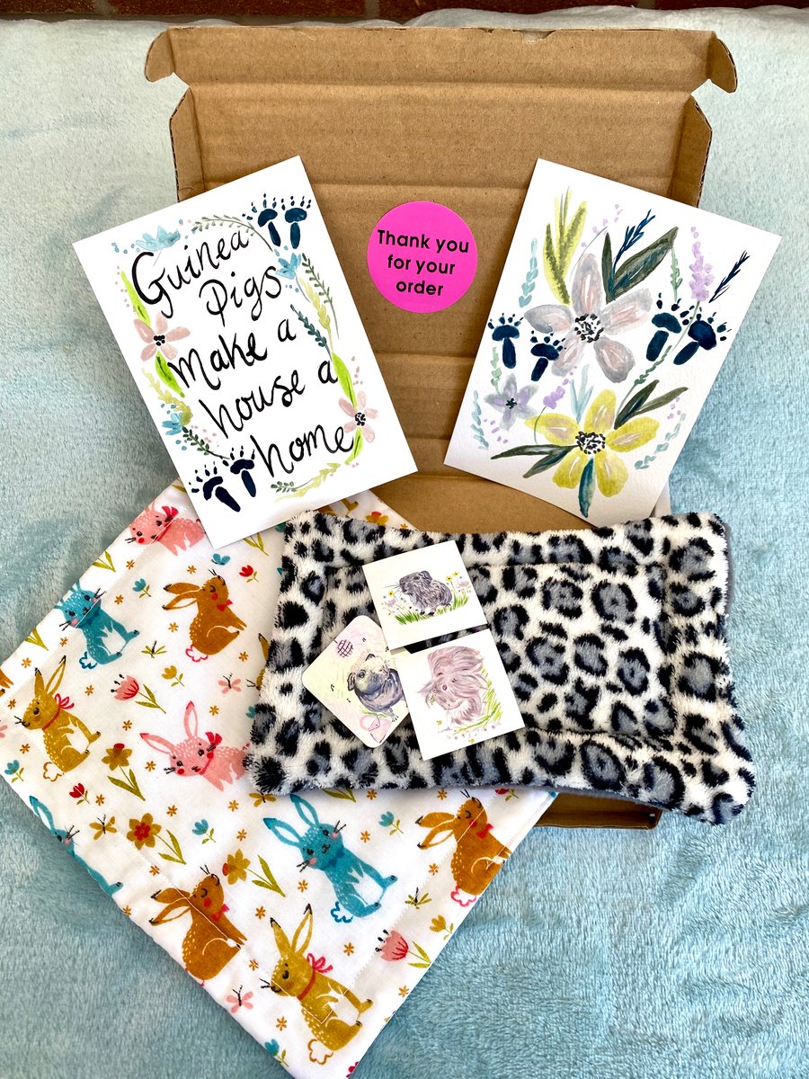 Guinea Pig Letter Box Gift Set 