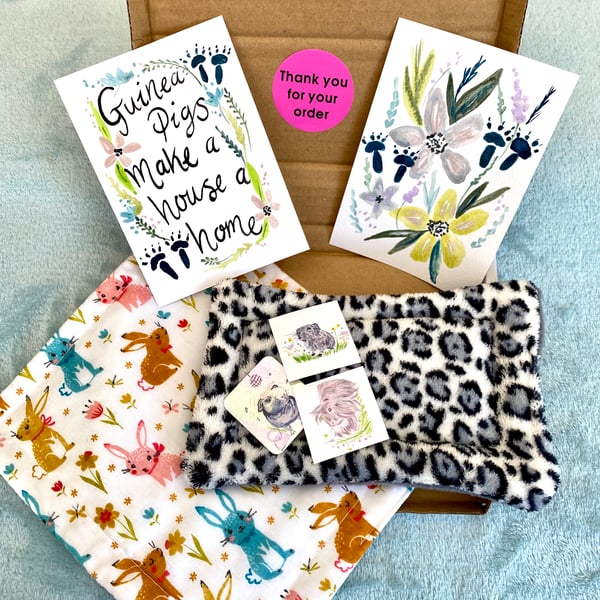 Guinea Pig Letter Box Gift Set 