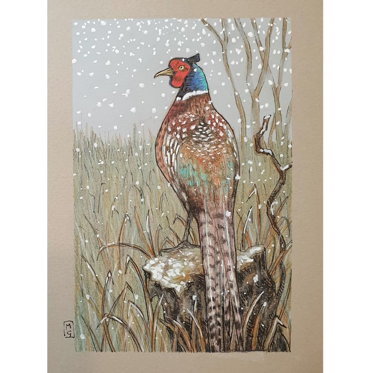 Pheasant in Winter original artwork, small bird drawing, wall art