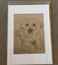 'Fetch' - The Best Westie Dog print - Image 2