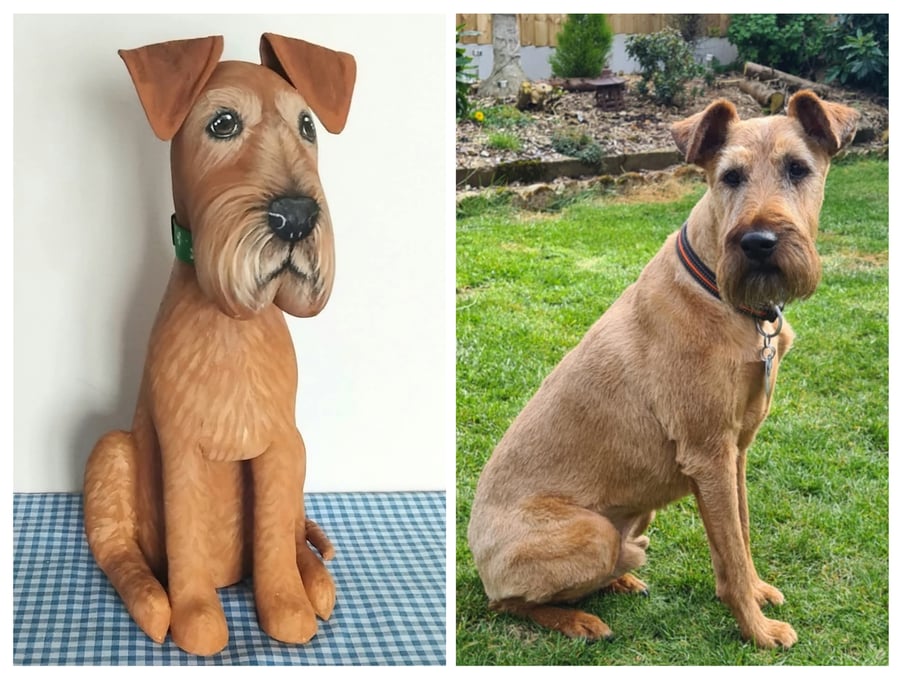 Irish, Airedale and Fox Terriers