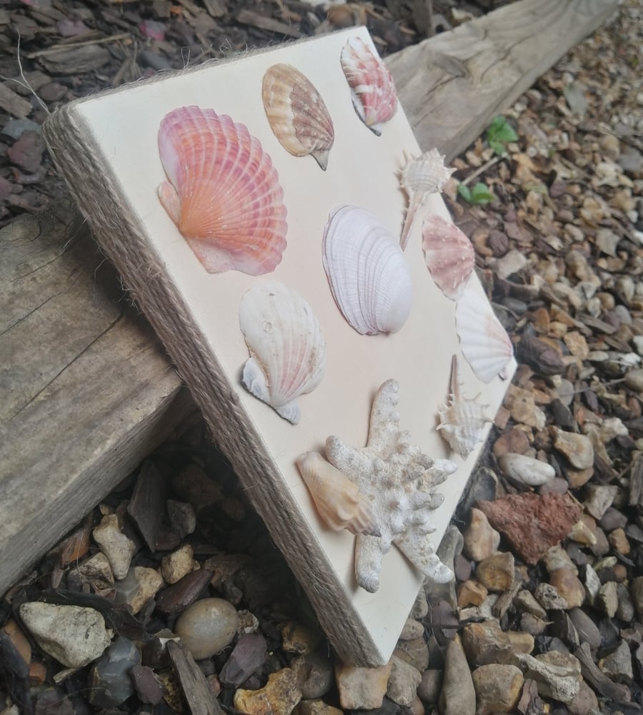 Rustic tea dyed shell canvas with rope edging 