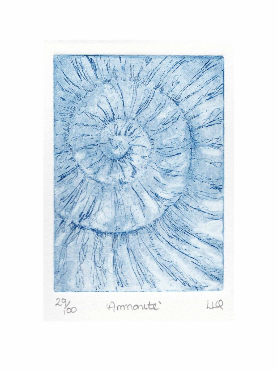 Etching no.29 of an ammonite fossil in an edition of 100