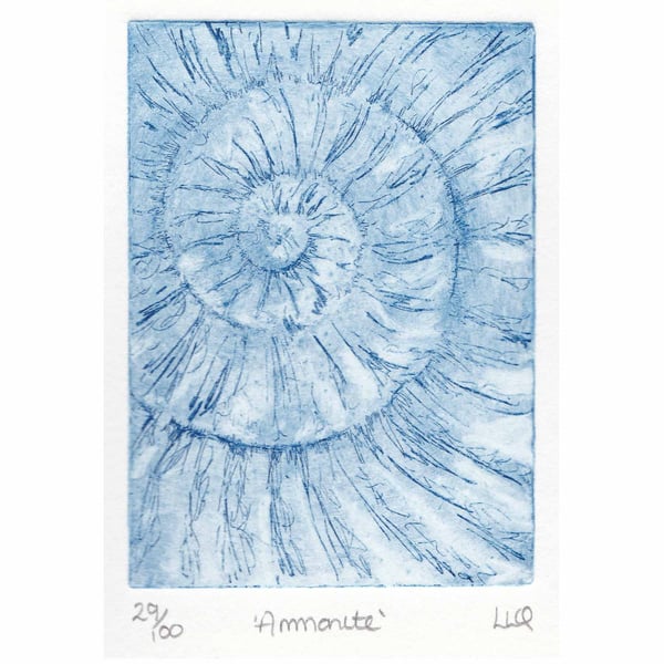 Etching no.29 of an ammonite fossil in an edition of 100