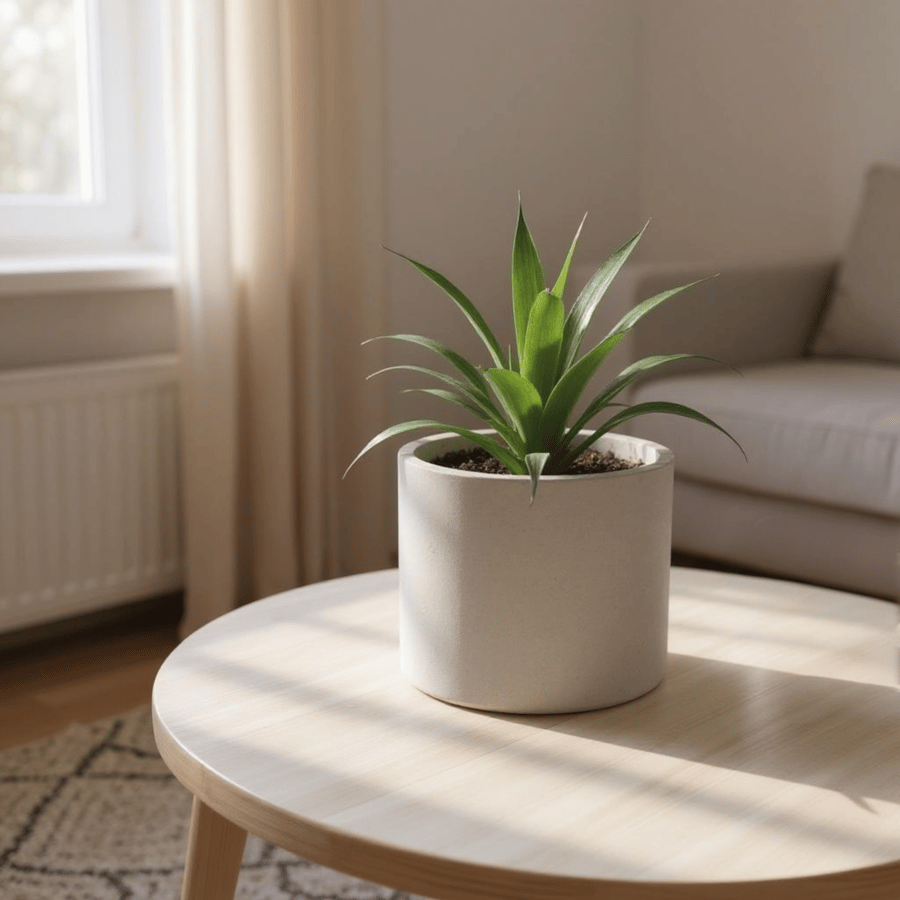Large Off White Plant Pot Cover - Cream 15cm Planter
