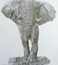 Bull Elephant, an original graphite pencil drawing 