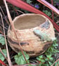 Stoneware planter with lizard