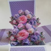 Cards and Creations, Ipswich