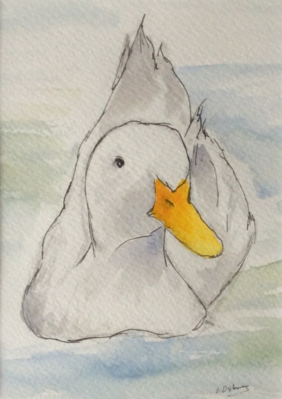 Duck - original painting