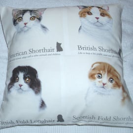  British Shorthair, American Shorthair, Scottish Fold Cats portraits cushion