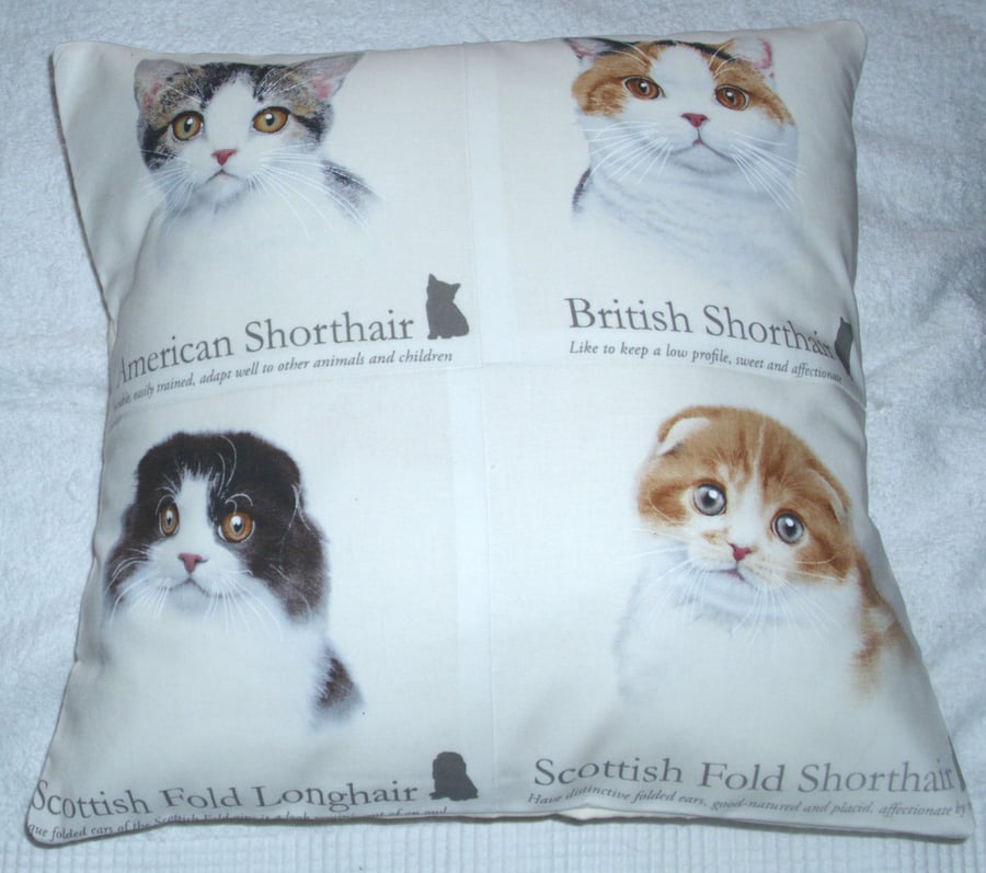  British Shorthair, American Shorthair, Scottish Fold Cats portraits cushion