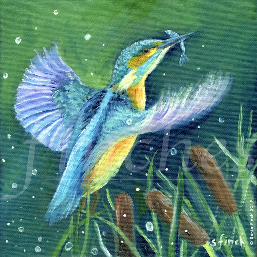 Spirit of Kingfisher - Limited Edition Giclée Print