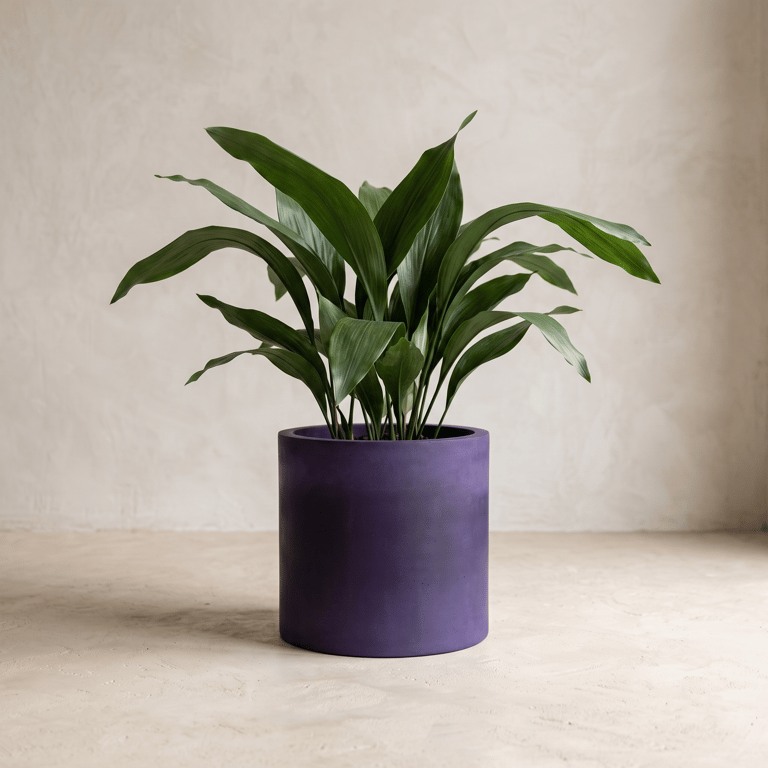Extra Large 23 cm Deep Purple Statement Plant Pot Indoor Planter