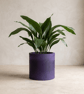 Extra Large 23 cm Deep Purple Statement Plant Pot Indoor Planter