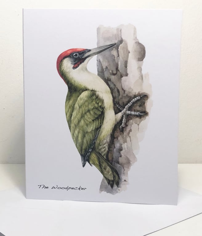 The Woodpecker -  5 x 7in Greeting Card and Envelope: Birthday or Plain
