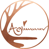 Aglimmer Pendants