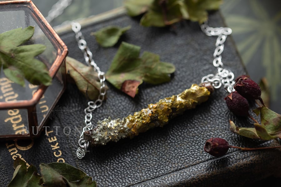 Lichen Twig Necklace Lichen Necklace Botanical Necklace Fairy Necklace Woodland 