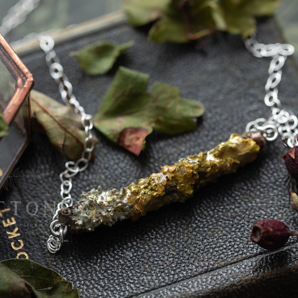 Lichen Twig Necklace Lichen Necklace Botanical Necklace Fairy Necklace Woodland 