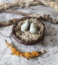 Bird Nest Bowl, Rustic Clay, Mini Trinket Dish, Wabi-Sabi Bark Bowl - Image 9