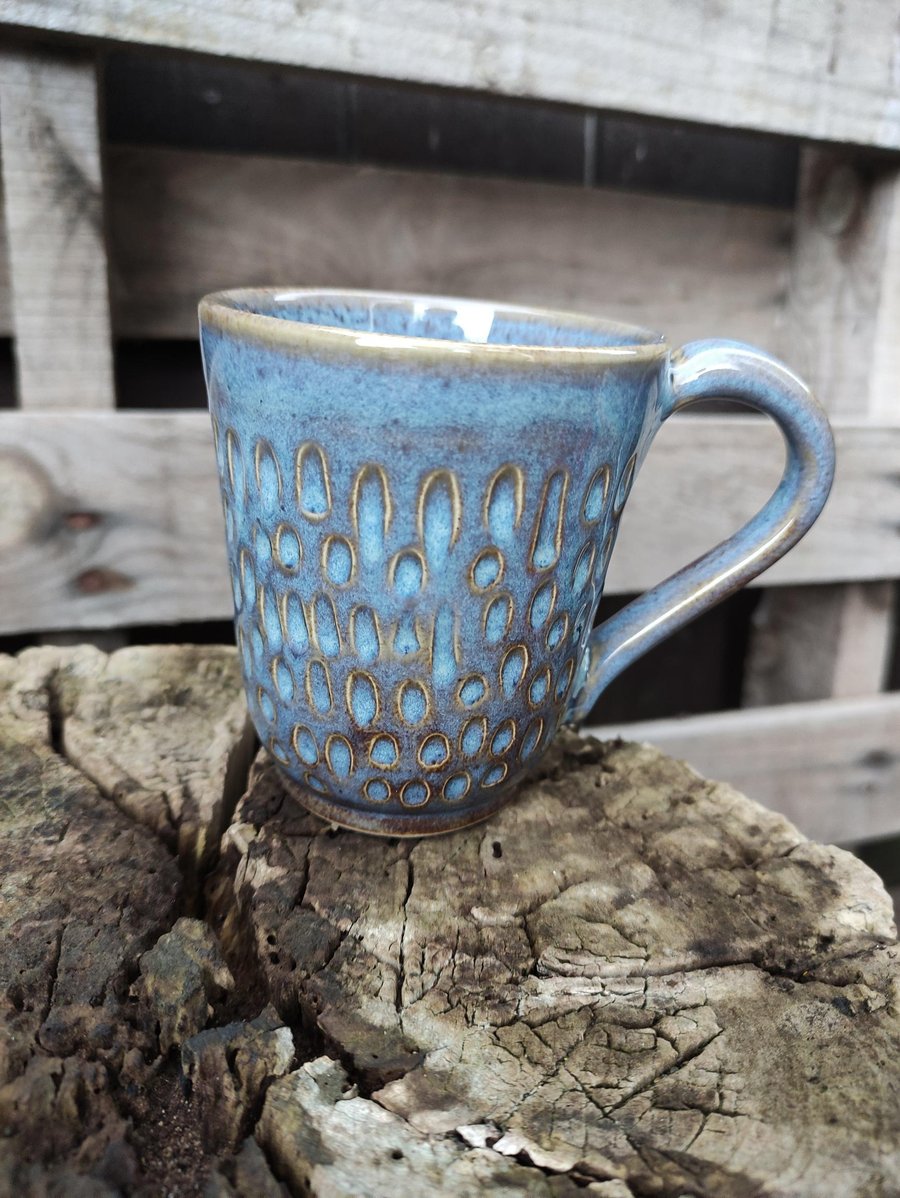 Seconds - Hedgehog cup