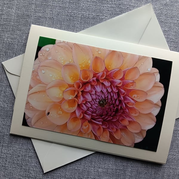 Rain drops on Dahlia Flower Large Photographic Card 7" x 5" Blank