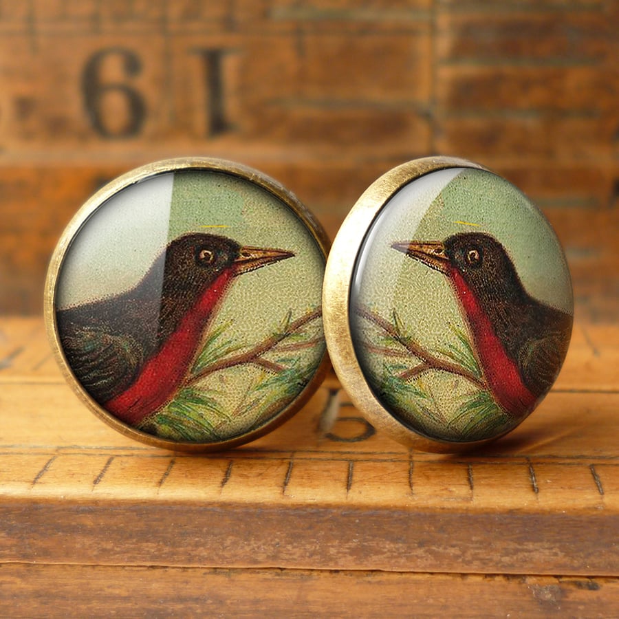 Red-breasted Blackbird Cufflinks (TB02)