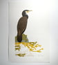 Cormorant Fishing Lino Reduction Limited Edition And Hand Embossed Print - Image 2