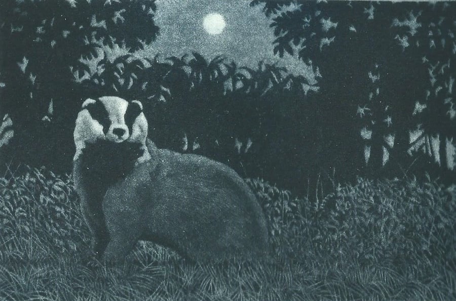 Badger