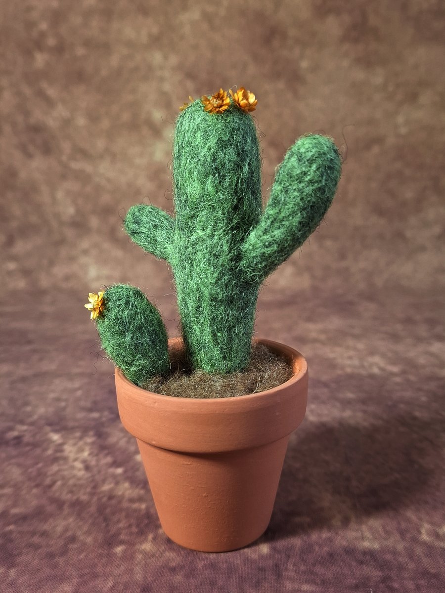 Saguaro Cactus. Needle Felted, Wool Fibres. Real Terracotta Pot. FREE SHIPPING.