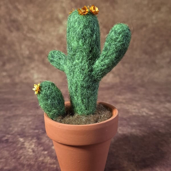 Saguaro Cactus. Needle Felted, Wool Fibres. Real Terracotta Pot. FREE SHIPPING.